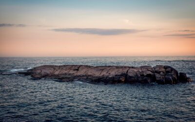 Exposition Christophe Goussard