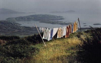 Expositions Harry Gruyaert