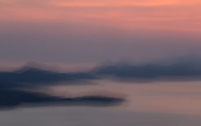 Exposition Véronique Durruty