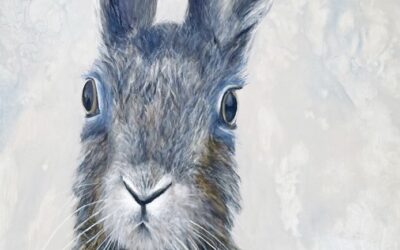 Ne ratez pas le n°102 du magazine Junkpage – Juin 2023 !