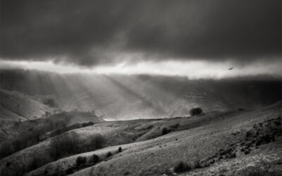 Exposition « La déclivité des ombres » de Zigor à Pau