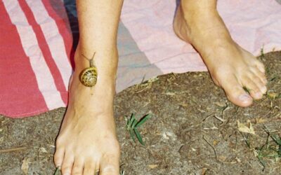 Junkpage – Juillet/Août 2023… Levez le pied !