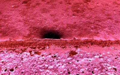 Exposition Laurent-David Garnier à La Rochelle (17)