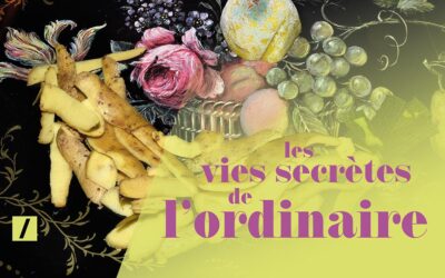 Exposition Magali Lambert à Niort (79)