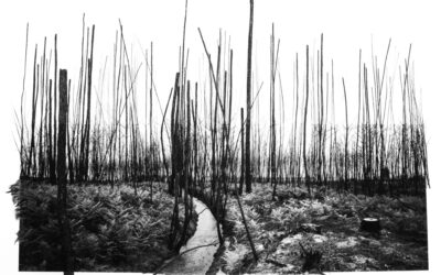 Exposition photo « Pays imaginé » à Labouheyre