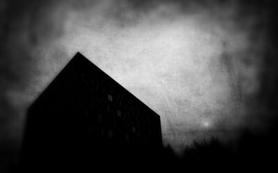 Fugace #3 Christophe Massé propose Sophie Pelletier