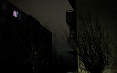 Christophe Massé propose Fugace#5 : Céline SB