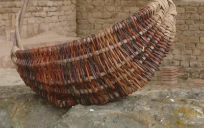 Christophe Massé propose Fugace#10 : Virginie Duprez (VOB)